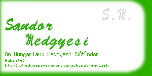sandor medgyesi business card
